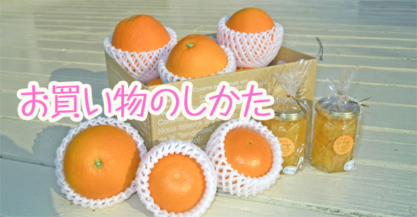 柑橘盛り合わせ