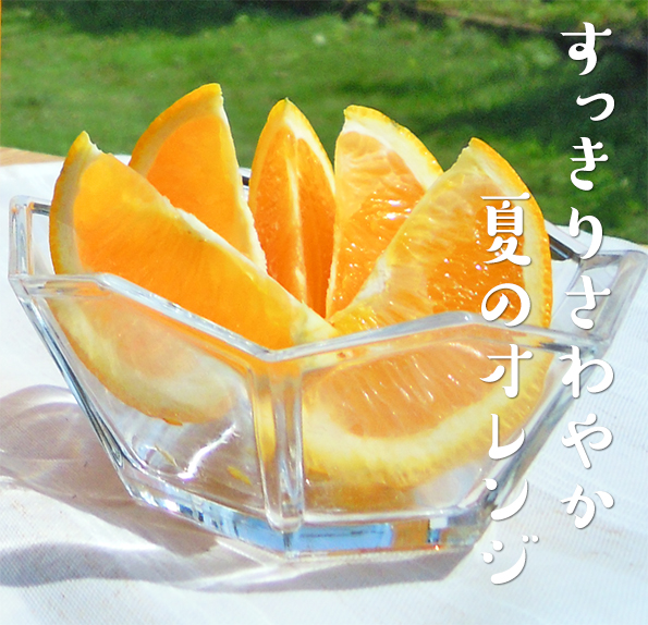 温室ネーブル