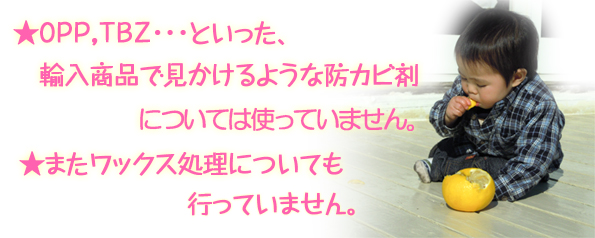 ポストハーベスト