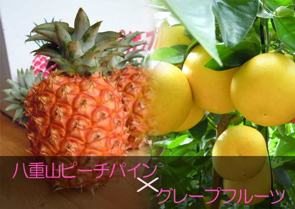 グレープフルーツジャム