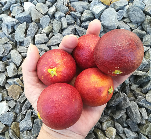 ご自宅用量り売り