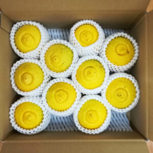 はるかちゃんギフト箱（大）