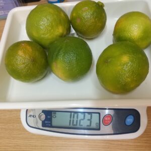 「栽培期間中農薬不使用」露地栽培ベルガモット量り売り（小傷有り）