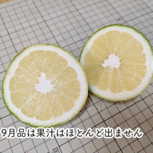 温室栽培ベルガモット 2㎏（9月早期収穫品）