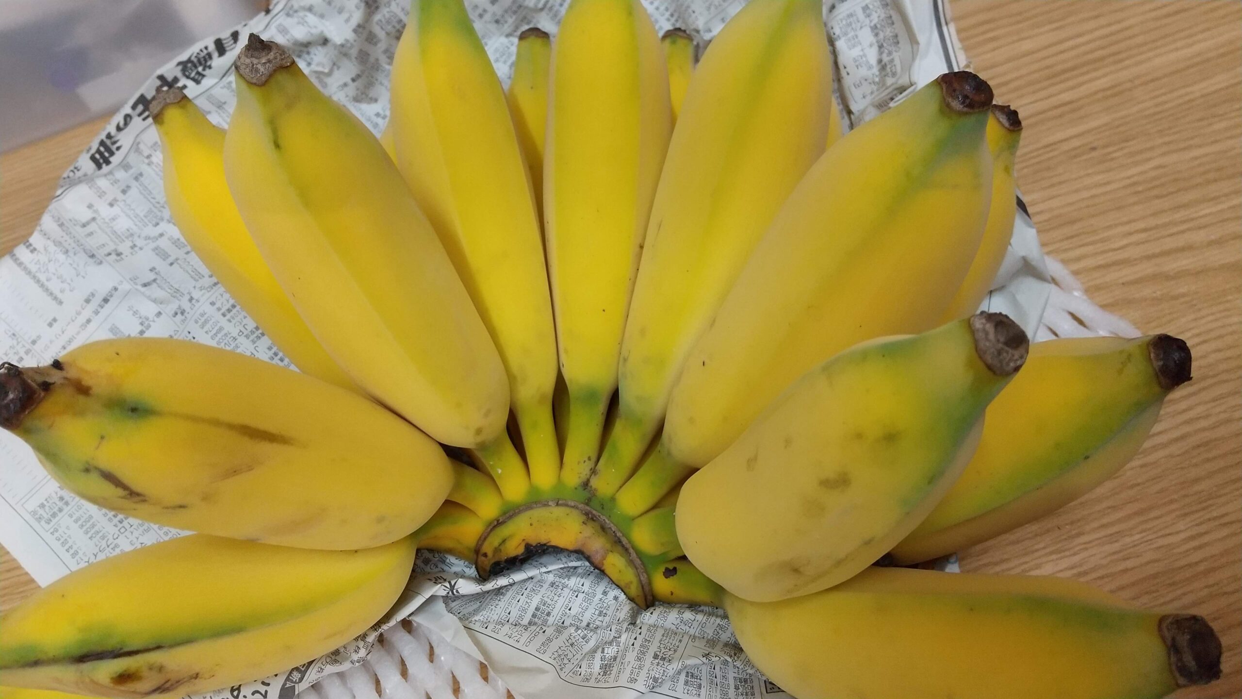 ドワーフナムワバナナ（果実）量り売り - ちたフルーツビレッジ｜萬秀フルーツ