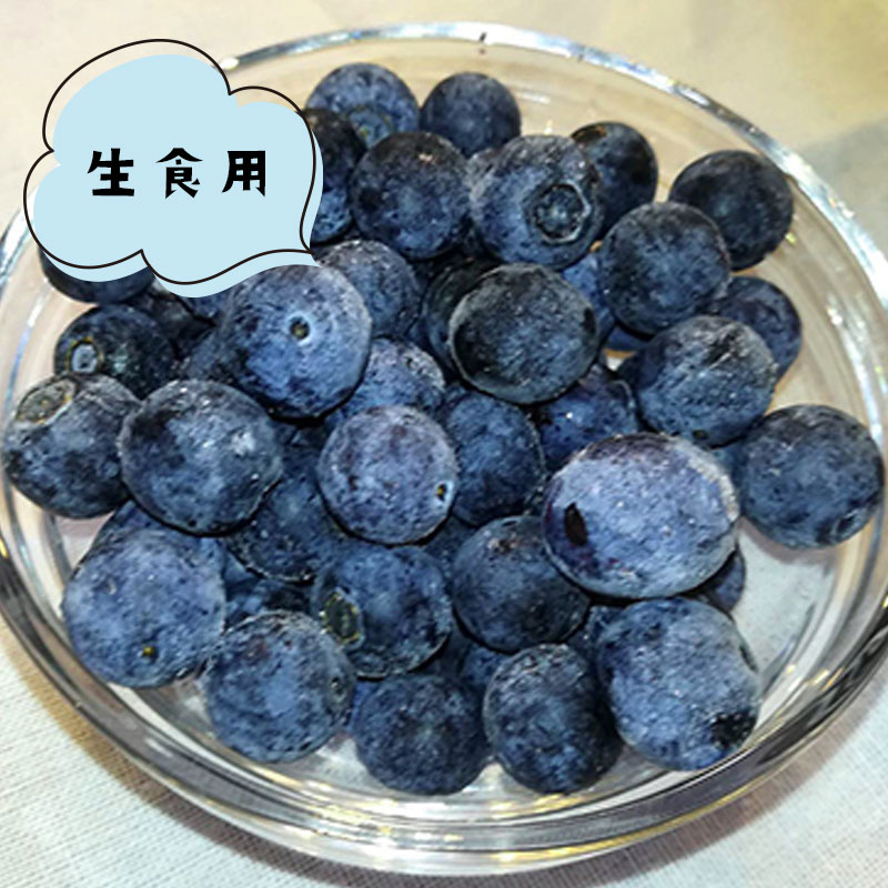 生食用 大粒」冷凍ブルーベリー(1kg) ちたフルーツビレッジ｜萬秀フルーツ