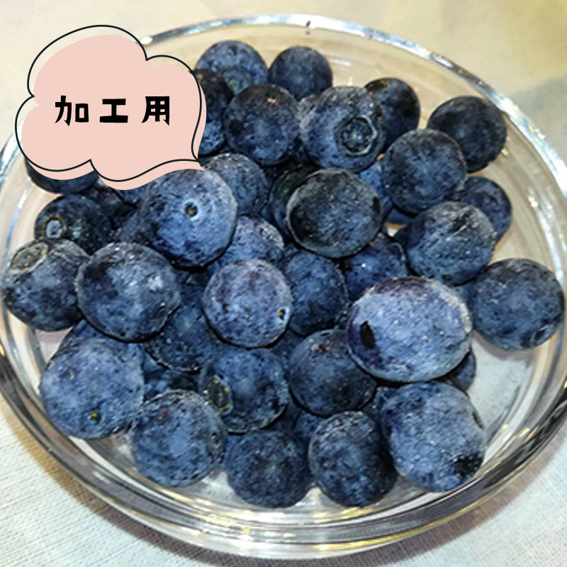 「加工用 普通粒」冷凍ブルーベリー(1kg)