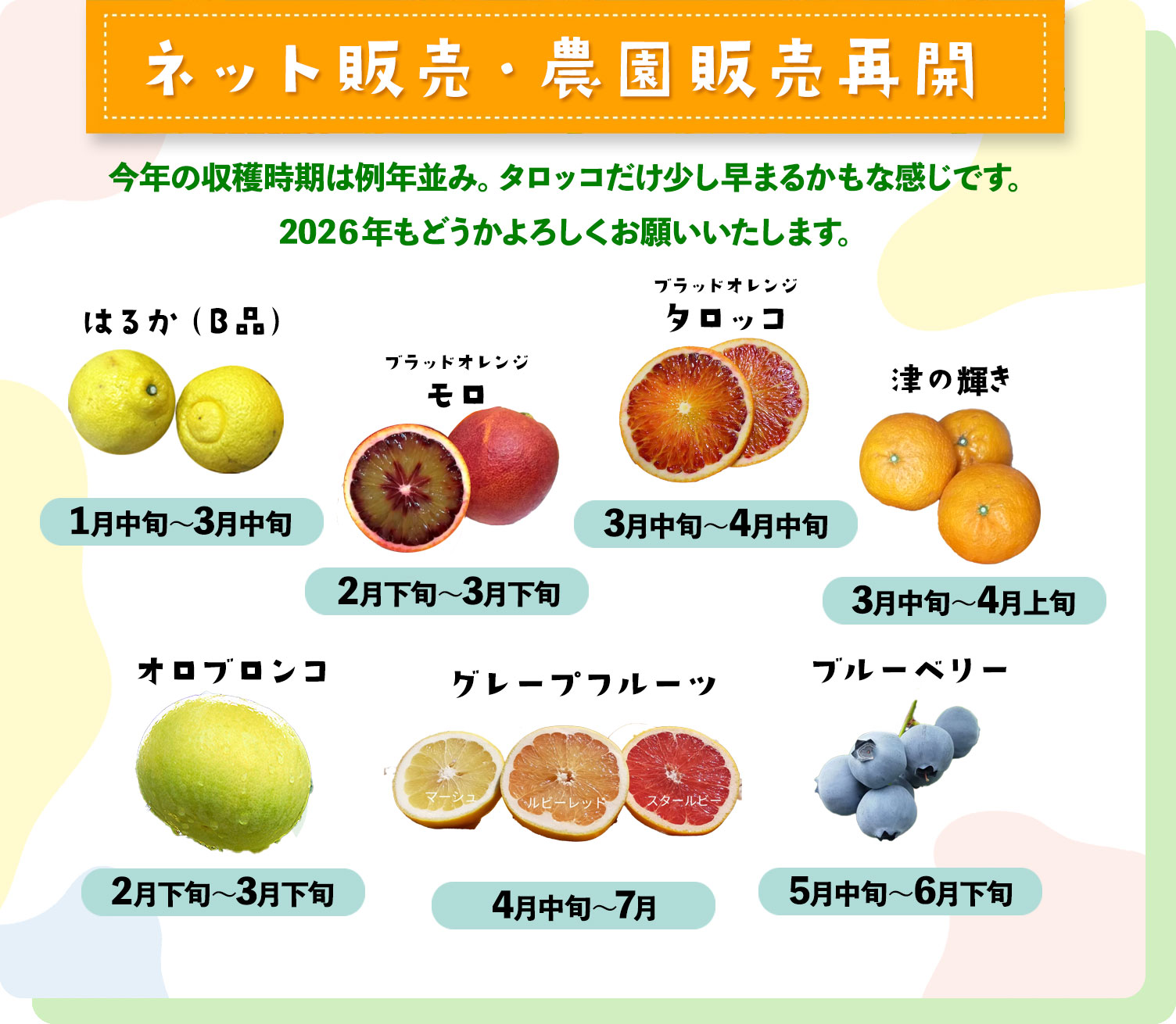 slider11 ネット販売・農園販売再開