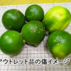 温室栽培ベルガモット　アウトレット品 4.5kg （2－3月出荷） - 画像 (3)