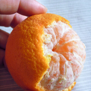 温室栽培　津之輝　アウトレット品量り売り