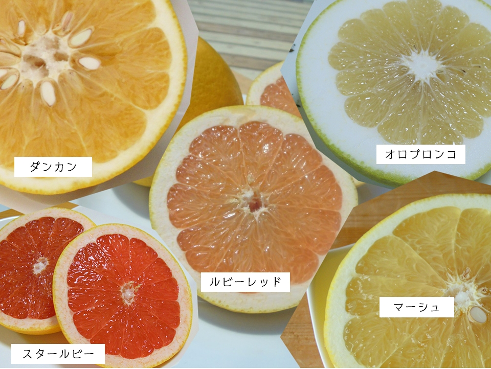 https://grapefruit.co.jp/nouen/image/5syu.jpg